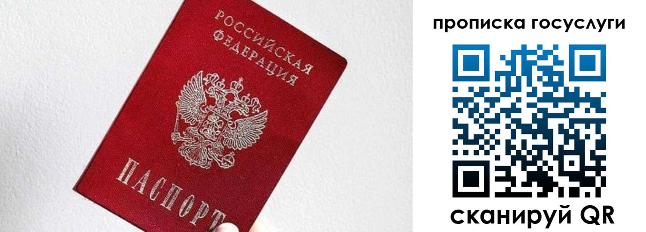 прописка законно в Домодедово